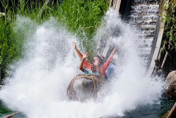 menhir express parc astérix